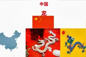 各国代表性动物合集，中国是龙美国是鹰，其他的是这些视频封面
