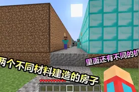 MC我的世界：一边是钻石房，一边是土块房，你选择哪个？视频封面