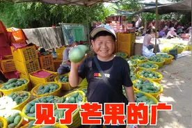 老男孩去芒果采摘现场实地拍摄，竟被果农大哥问到，几岁了兄弟视频封面
