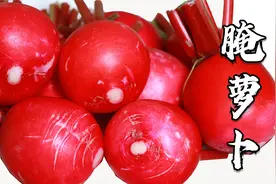 川菜大厨教你腌红皮萝卜，做法简单，年夜饭极品下饭菜，越吃越香视频封面