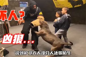 两孩子遭受坏人“攻击”，恶霸犬以肉身挡住，攻击力不输警犬视频封面