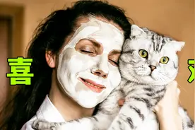 跟男主人相比，猫更喜欢女主人！