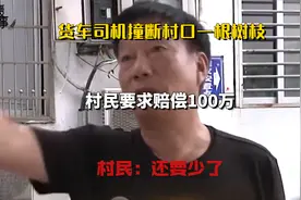 货车司机撞断村口一根树枝，村民要求赔偿100万，村民：还要少了视频封面