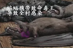 揭秘埃博拉：一名村民误食携带病毒的蝙蝠  感染了全村 非常可怕视频封面