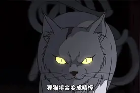 传说狸猫长到9条尾巴，便会幻化成人的模样视频封面