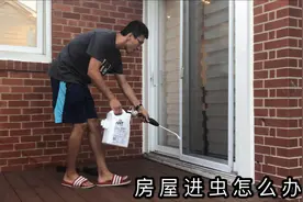 家里进蚂蚁咋办，快速去除蚂蚁的好办法，墙角喷一圈轻松消灭视频封面