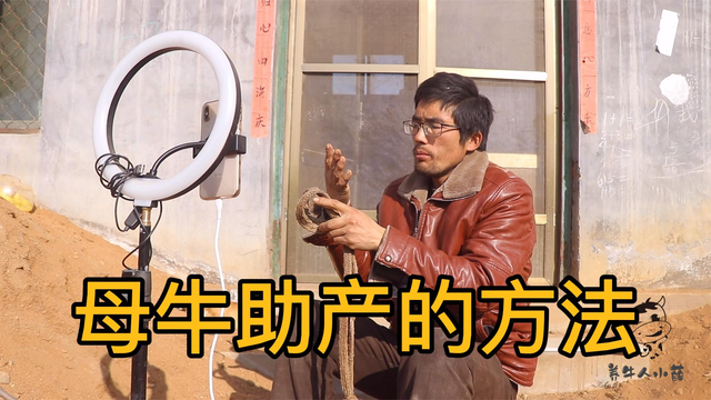 牛难产怎么办