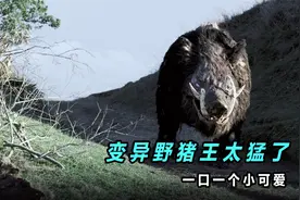 重达一吨的变异野猪王突袭人类，它皮糙肉厚就连子弹都打不穿视频封面