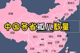 中国各省孤儿数量，多多关爱视频封面