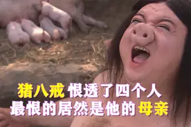 猪八戒恨透了4个人，你知道都是谁吗？最恨的居然是他的母亲！视频封面