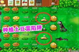 植物大战僵尸：种植土豆雷陷阱炸掉僵尸 用土豆雷拖延发育时间