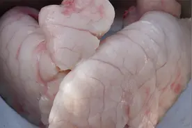 大厨教你猪肺的清洗方法，一个小技巧，洁白无血水，汤汁浓白不腥视频封面