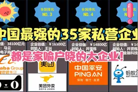 中国最强35家私营企业排名，谁是中国民营经济的实力担当？涨知识视频封面