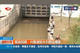 兴隆湖因水生态改造，开闸放水，群众撒网捕鱼风险高