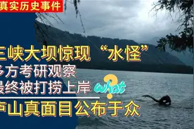 三峡大坝惊现“水怪”？多方考研考察，水怪的真面目终于公布于众视频封面