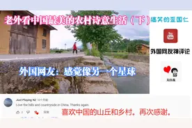 老外看中国最美的农村诗意生活（下）外国网友：感觉像另一个星球视频封面