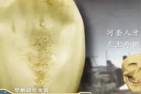 专家还原河套人生活状态，而河套人的铲形牙齿，是中国人特有标志