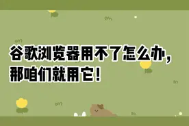 在线等！挺急的！谷歌Chrome浏览器用不了怎么办？