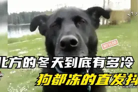 07细数北方的冬天到底有多冷，南方美女调皮尝试，结果真惨啊视频封面