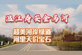 能捡到天价石头！成都温江寿安（玉石）汪家湾金马河超宽超美河滩