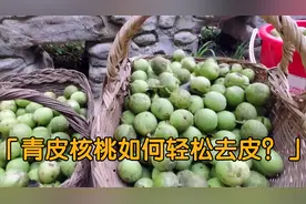 农村大叔家里的核桃熟了，都说青核桃好吃皮难剥，来试试这种方法视频封面