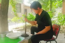 经常吃的芥末是怎么做的？农村阿姨3分钟教会你，让你在家也能做