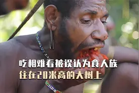 巴布亚丛林建筑师，住在树顶的原始部落，3天盖一栋20米高的房子视频封面