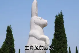 属兔取名宜忌用字,属兔名字寓意好的字视频封面