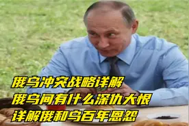 俄乌冲突战略详解，俄乌间有什么深仇大恨，详解俄和乌百年恩怨视频封面