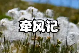 《牵风记》有声书 茅盾文学奖获奖作品||21~大结局视频封面