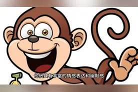 生肖属猴的人情感分析视频封面