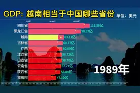 南海邻居越南快速发展到底如何，其GDP实力相当于我国哪些省份？视频封面