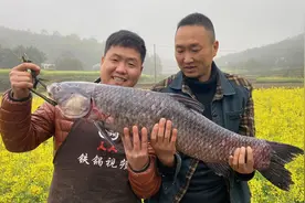 整条大草鱼做几道菜，鱼鳞原来也可以吃，香酥可口，下酒真好视频封面