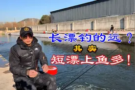 钓鱼一定要用长浮漂？别傻了：其实短漂比长漂上鱼多！