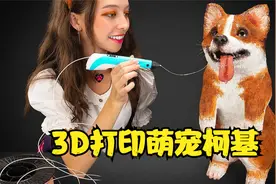 硬核DIY：老外黑科技！这么可爱的短腿柯基居然是3D打印的？？！视频封面