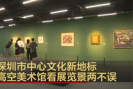 深圳市中心文化新地标 高空美术馆看展览景两不误视频封面