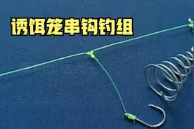 串钩加个诱饵笼，中鱼效果翻一番视频封面
