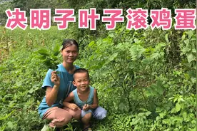 广西农村90后宝妈摘自种的决明子滚鸡蛋汤 一家4口喝光满满一大盆视频封面