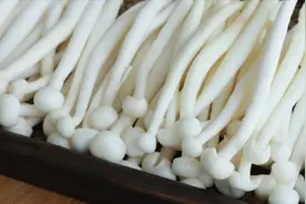 夏天吃饭没胃口，海鲜菇试试这样做，开胃下饭，出锅比吃肉还香视频封面