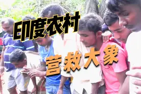 印度村民营救坠落深井的大象，徒手搬石爱心满满视频封面