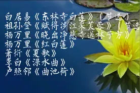 古诗词中的花木 | 荷花诗七首：红白莲花开共塘，两般颜色一般香视频封面