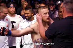 UFC赛场重现：“钻石”普瓦里尔火拼盖奇视频封面