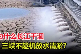 长江这么干涸，为何三峡不趁着干旱放水，清理掉18亿吨淤泥？视频封面