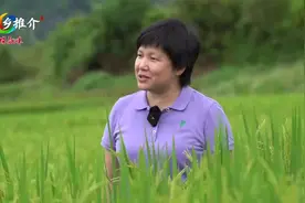 广西百色市德保县：书记推介德保县视频封面