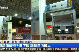 成品油价格今日下调 跌幅年内最大视频封面