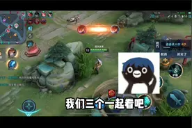 【花少北】野 王 哥 哥视频封面