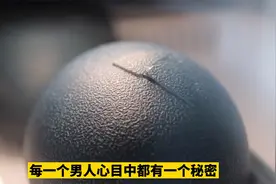 神秘的蓝色蛋，鸟纲鸸鹋科唯一物种视频封面