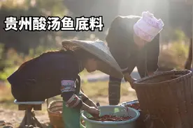贵州最受欢迎的酸汤底料制作这么简单，一看就会，阿香今年做几坛视频封面
