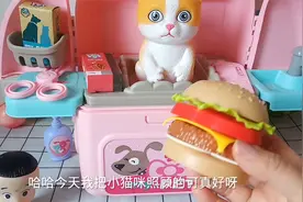 益智玩具，大头照顾小猫咪视频封面