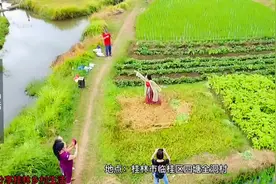 二丫终于实现粉丝愿望，团队用无人机全程拍摄她跳舞，简直美翻了视频封面
